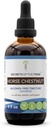 Segreti della Tribe Horse Chestnut Tincture Alcohol-Free Liquid Extract, Horse Chestnut (Aesculus hippocastanum) Dried Nut (4 FL OZ)