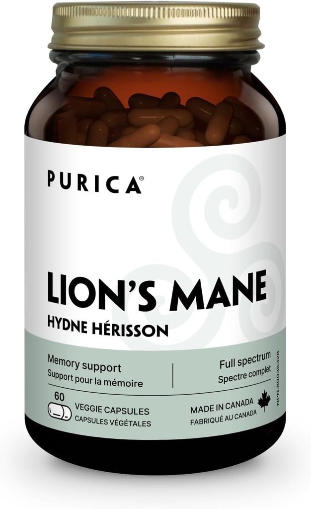 PURICA - Mushroom micronizzati Mane del leone, 60 capsule vegane - promuove la salute cognitiva - Focus e supporto della memoria