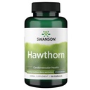 Extrait de Hawthorn de Swanson (normalisé) 250 Milligrammes 120 Capsules
