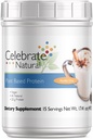 Celebrare Vitamine Vegan Protein Powder - Tutto Natural Plant Based Protein Shake Mix - 20g Pea Protein & 3g Fibra, per Chirurgia Post-Bariatrica - Vanilla Chai (15 Serve)