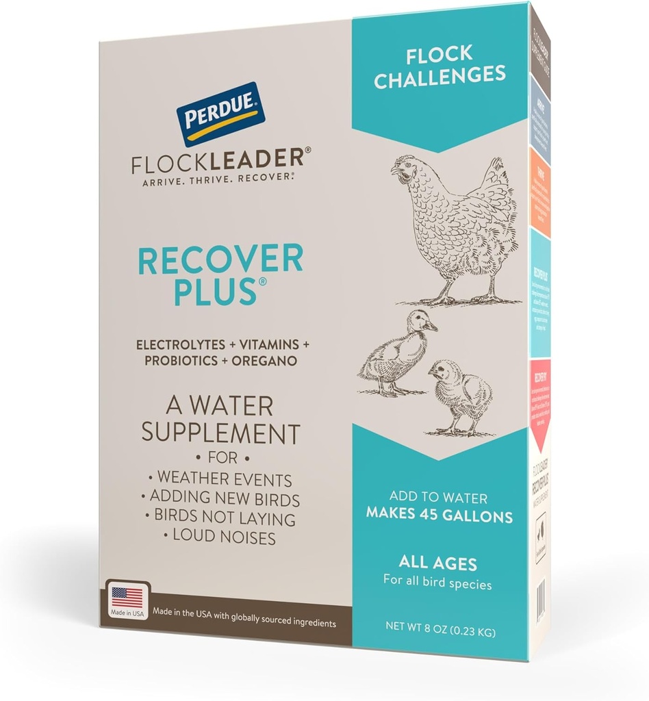 Recuperare Plus Moderate Stress Probiotic Water Supplement per Polli con Elettroliti & Oregano, 8 oz
