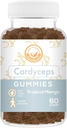 Gommies de champignons Cordyceps - Peut soutenir l'énergie, l'endurance et l'endurance - Arôme de mangue tropicale - végétalien, non-OGM, sans gluten, sans gélatine - 60 comtes