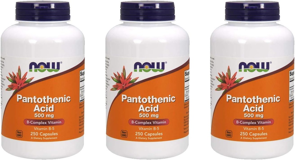 JETZT Lebensmittel Pantothensäure 500 mg, 250 Kapsel (3 Packung)