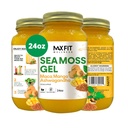 MAX FIT Sea Moss Gel Maca Ashwagandha 24oz Wildсrafted Gold Sea Moss Gel aus Saint Lucia | 92 Vitamine und Mineralien | Pure Raw+Non-GMO