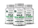 Bios Ocean Wild Sea Moss Capsules - 100% Bio Irish Sea Moss mit Bio Chlorella, Bladderwrack und Vitamin D für Energie, Lung Health und Schilddrüse Unterstützung für Frauen und Männer - 3 Flaschen