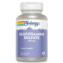 SOLARAY Glucosamine Sulfat 500 mg | Gesunde gemeinsame Flexibilität und Widerstandsfähigkeit Unterstützung (60 Serv, 120 CT)
