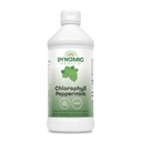 Dynamic Health Liquid Chlorophyll Peppermint 100 mg, Sodium Copper Chlorophyllins with Alfalfa and Mulberry Leaves, Plant Cleanse and Deodorizing, No Aggiunto Sugar, 16 Fl Oz
