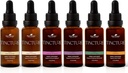 Pflanzentherapie Bio-Tinkturen Anfänger Set 30 mL Jedes Organische Ashwagandha, asiatische Ginseng, Echinacea Blend, Elderberry, Zitronenbalm & Turmeric
