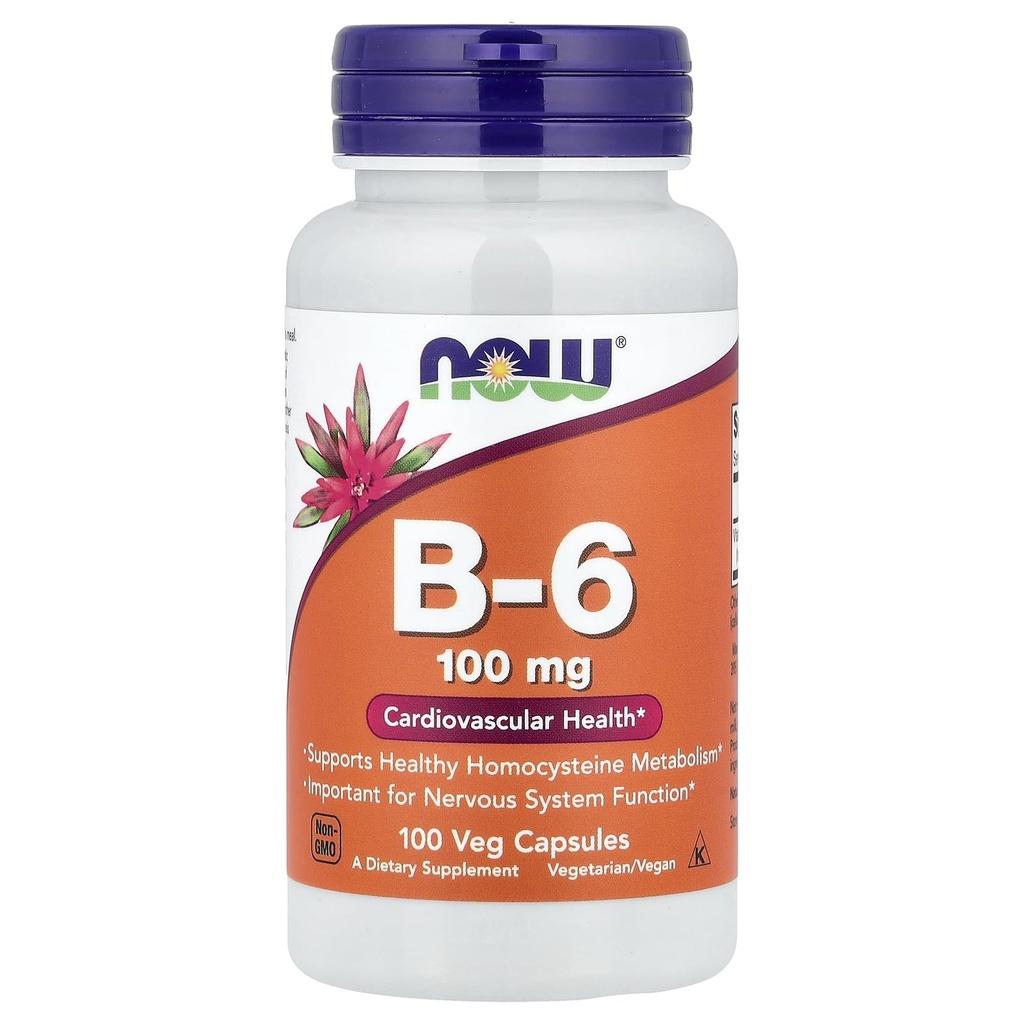 Maintenant Aliments B-6 100mg 100 Capsules