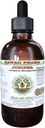 Juniper Extrait liquide sans alcool, Juniper biologique (Juniperus Monosperma) Berry séché Glycérite Hawaii Pharm complément naturel à base de plantes 4 oz