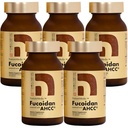 Fucoidan powered with AHCC® Brown Seaweed Immunitätsergänzung mit hoher Reinheit Organic Mekabu Mozuku Agaricus 5 Flaschen - 800 Gemüsekapseln Made in Japan