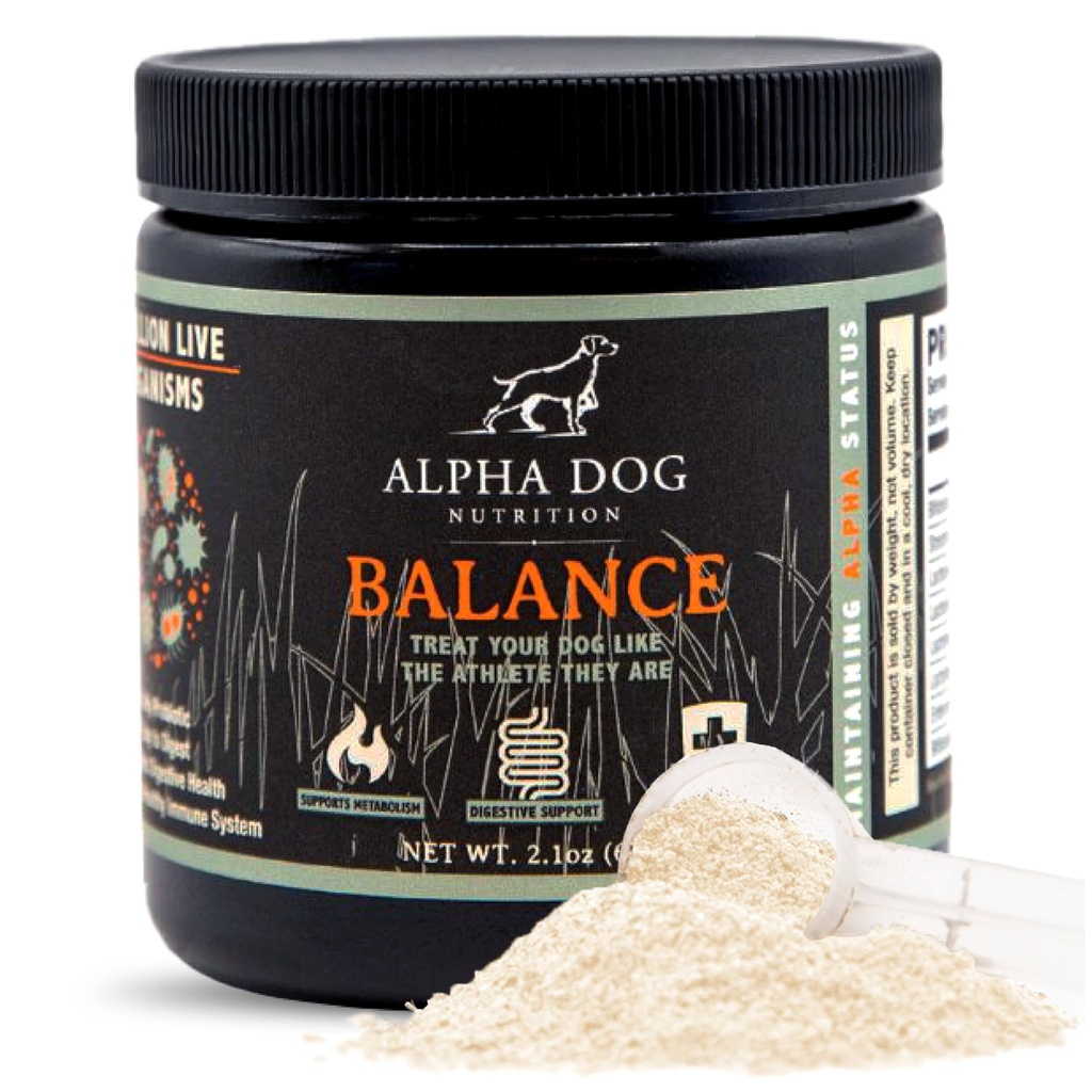 Balance Probiotic Blend für Hunde von Alpha Dog Nutrition