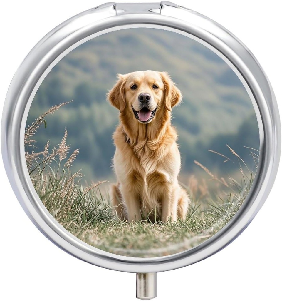 Tondo Pill Box Golden Retriever Dog Stampato 3 scomparti Piccolo Pillola Case Portatile Pillola contenitore di viaggio per tenere Supplementi Vitamine Fish Oil Medicine