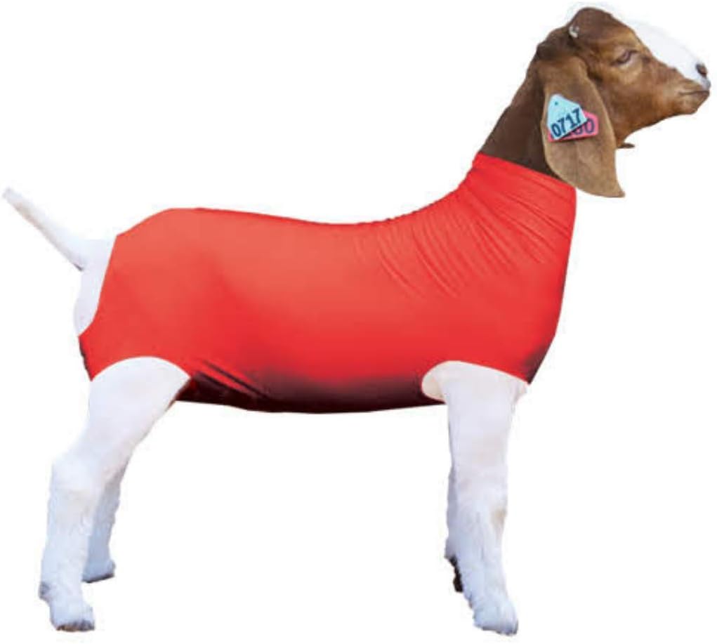 Mostra Pro Red Spandex Goat Tube per Show Goats - Mostra Supplies bestiame: Goat Covers & Blankets