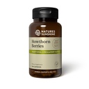 Nature's Sunshine Hawthorn Beeren, 100 Kapseln | Hilft, Herzmuskel Funktion zu verbessern und bietet Zirkulationssystem Unterstützung