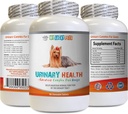 Chien Urinary Tract Support - Dog Urinary Health Formula - Aide avec l'incontinence et les problèmes de Bladder - Immune Boost - Pilules de soie de maïs pour chiens - 1 bouteille (90 gâteries)