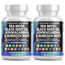 Clean Nutraceuticals Sea Moss Black Seed Oil Ashwagandha Turmeric Bladderwrack & Vitamina C D3 con Elderberry Manuka Dandelion Yellow Dock Iodine Chlorophyll ACV - 2Pack