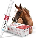 Jaguar Foie pour la santé des animaux - Supplément à l'équine Pâte pour le soutien d'une bonne hydratation et santé de l'intestin - Produit végétal pour les poulains pré-sevrés (30 ml)