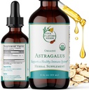 Astragalus Tincture - Soutien du système immunitaire, support respiratoire, support du système digestif, Maca, supplément à base de plantes - 2 Fl Oz