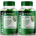 WELLNESS LABSRX Sea Moss Gummis, 3200mg Irish Sea Moss Mixed Berry Flavor mit Maximum Potency Bladderwrack und Burdock Root - Unterstützt Haut, Energie und Immunität - 180 Count