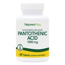 NaturesPlus Acide pantothénique, libération prolongée - 1000 mg, 60 comprimés - Supplément de vitamine B5 à haute capacité - Végétarien, sans gluten - 60 portions