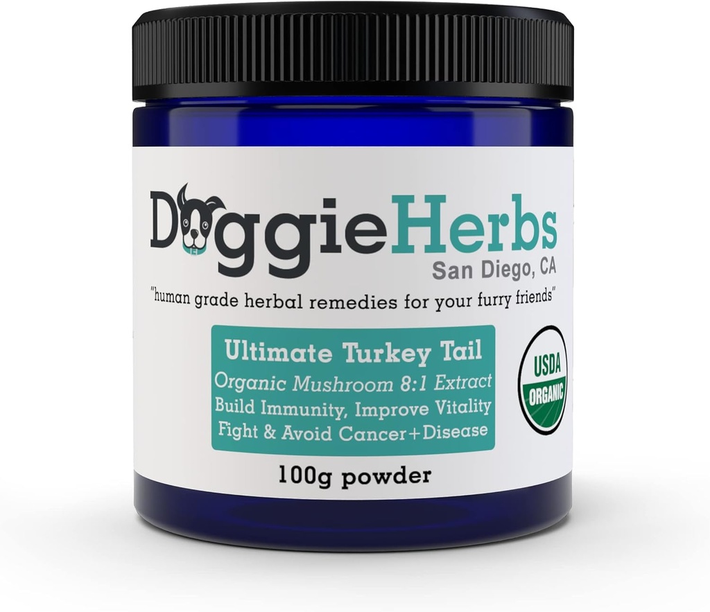 Tail final de dinde 8:1 Extrait par les herbes de chien – 389mg Beta Glucan par 1g Scoop (39%), Contient SEULEMENT des polysaccharides – 100g