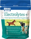 Sav-a-Caf Elektrolyte PlusTM Ergänzung | 6 Pfund (6 LB) Tasche