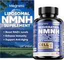 NMNH-Ergänzung - 500mg pro Servierung, steigert NAD+ Levels, NAD Supplement unterstützt Immungesundheit und Anti-Aging, 60 Kapseln