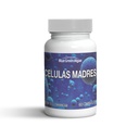 Stem Cell - Celulas Madres Supplemento per Anti-invecchiamento & Longevità, Non OGM, Senza glutine, Capsule Vegetariani, 60 Conte