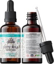 Gotu Kola Tincture, Organic Gotu Kola Extract, Gotu Kola Drops (Centella Asiatica) Getrocknete Kräuter