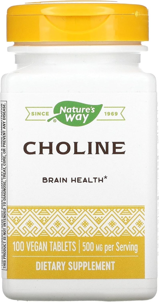 NATURES VOIE 500Mg 100 Tb Choline, 100 CT