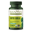 Banyan Botanicals Gotu Kola (Centella Asiatica) – Organic Adaptogen & Nootropic Brain Support Supplement for Healthy Memory & Concentration* – 90 Tabletten – Fairly Traded Sustainable Sourced Vegan