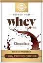 Solgar Whey to Go Protein Powder, Chocolate, 42 oz - Isolate and Concentrate - Miscela facilmente per Smooth Taste - Gluten-Free - 20g Protein per Serving