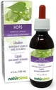 Naturalma Hops (Humulus lupulus) strobilus ou Cone (Female Flowers) Teinture sans alcool - 4 fl oz Extrait liquide dans les gouttes - Supplément à base de plantes - Vegan