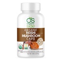 | Reishi Mushroom Capsule | 60 Vegan Adaptogen Capsule per Supporto Immune & Stress Relief | USDA Certified, Non OGM, Natural Wellness Supplement