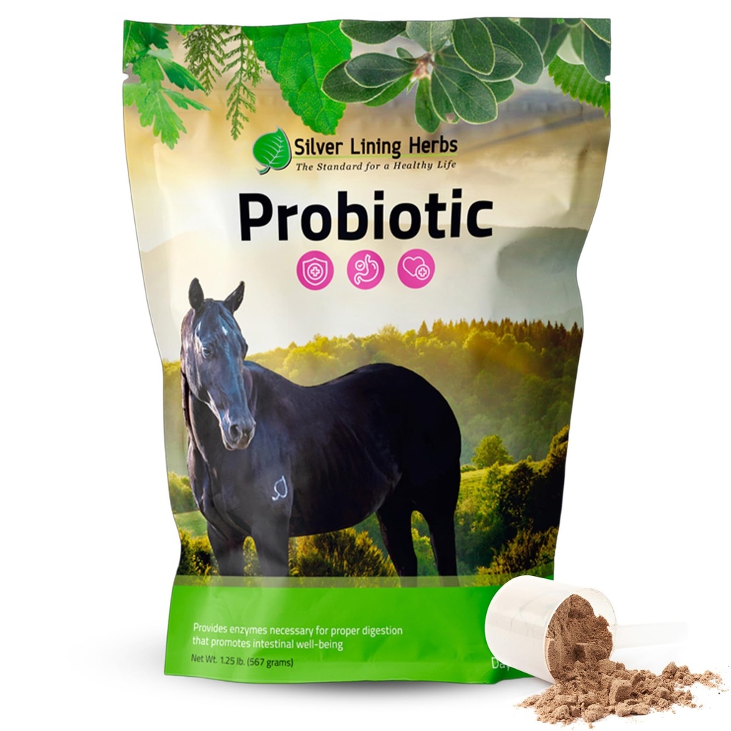 Silber Futter Kräuter Pferde Probiotika Verdauungsergänzungsmittel - Verdauungsenzym & Gut Gesundheit Probiotische Ergänzung für Pferde - Enthält 13.2 Billion CFUs Probiotic Strains - 1.25 lb 60-Tag Versorgung