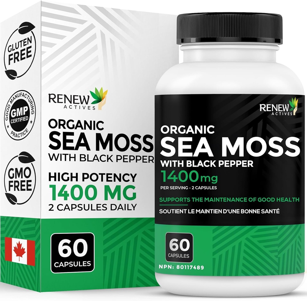 Renew Actives Sea Moss Triple-Action Antioxidant Blend mit BioPerine – Organic Irish Sea Moss 500MG, Bladderwrack 500MG & Burdock Root 400MG pro 2 Kapseln – Made in Canada - 60 Kapseln