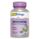Solaray Extrait de graines de Fenugreek 700 mg - Capsules de Fenugreek avec 65% de fibre alimentaire Galactomannan - Non-OGM, Supplément Vegan Fenugreek pour un soutien à la digestion saine - 45 portions, 90 VegCaps