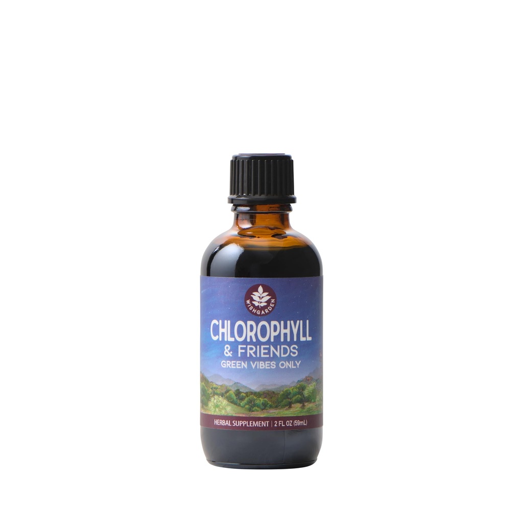 WishGarden Kräuter Chlorophyll & Friends - Chlorophyll Flüssigkeitstropfen mit Nettle Leaf, Heilige Basilikum, Moringa Leaf & Peppermint Blatt, unterstützt Erhöhte Energie, Gesunde Immune, & Stress Response, 2oz