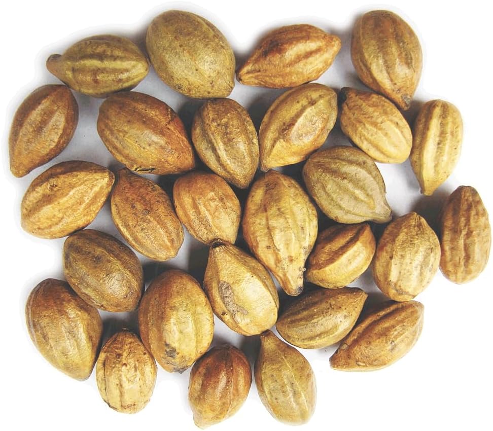 Natürliche Terminalia Chebula | Kadukkai| Harad | Inknut HarHaritaki Indian Origin Kräuter (200g(7 oz))