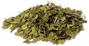 I migliori botanici Ginkgo Leaf Cut 16 oz.
