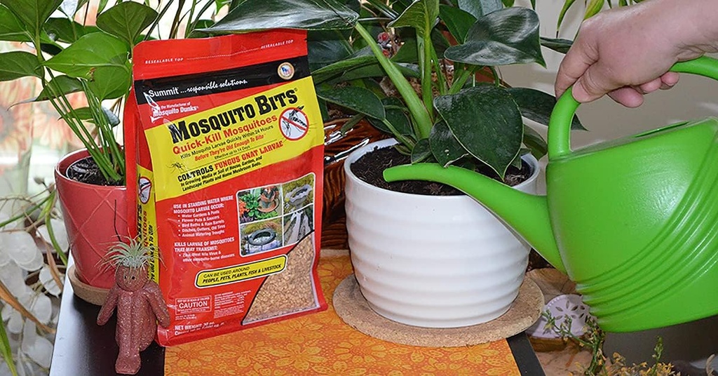 Vertice... soluzioni responsabili Mosquito Bits per insetti, 30 Ounce