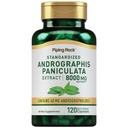 Piping Rock Andrographis Paniculata Extract | 8000 mg | 120 capsule | Integratore di erbe standardizzato | Non-GMO, Gluten Free