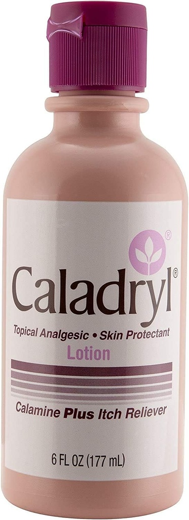 Caladryl Pink Calamine Skin Protectant Plus Itch Relief, 6 Unze Flasche (2 Packungen (6.0 Unze))