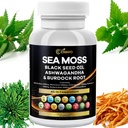 Sea Moss 3000mg Black Seed Oil 2000mg Ashwagandha 1000mg Bladderwrack 1000mg Turmeric 1000mg Burdock 1000mg Vitamina C & D3 Elderberry Manuka Dandelion Yellow Dock Chlorophyll ACV