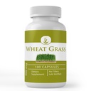 Pure Original Ingredients Wheat Grass, (100 Capsules) Always Pure, No Additives Or Fillers, Lab Verified