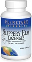 Planetary Herbals Slippery Elm Erdbeer Lozenges, Herbal Throat Support, 100 Lozenge