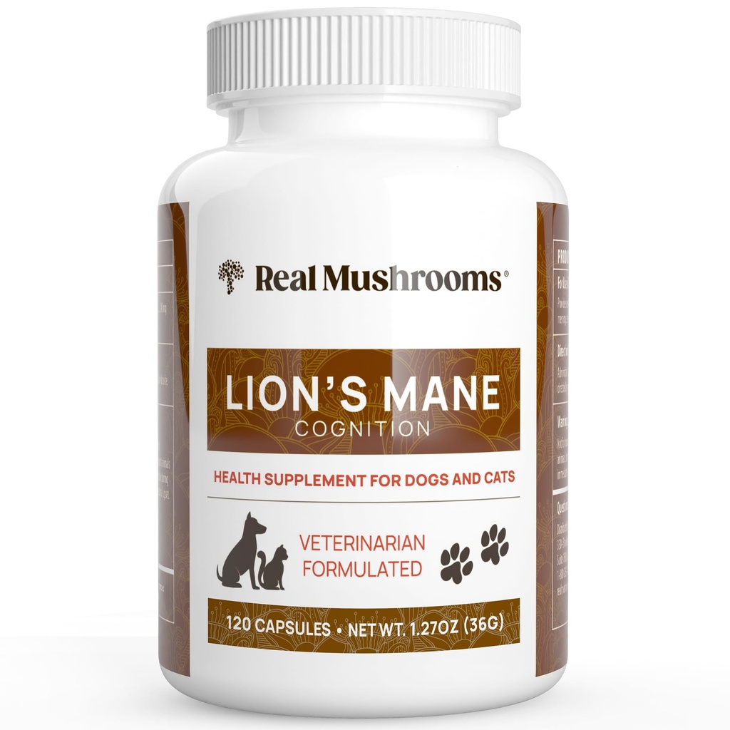 Véritables champignons Lion de la Mane Supplément de champignons pour animaux de compagnie – Capsules de bien-être pour animaux de compagnie – pour supplément de chat et chien & vitamines – Soutien de routines conscientes – Organique, végétalien, non-OGM, 120 Comte