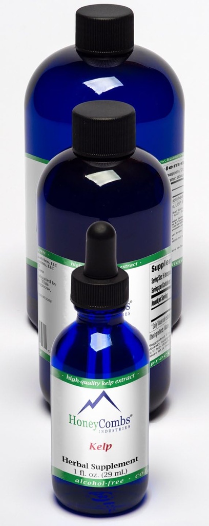 HoneyCombs 8oz. Kelp –Unterstützung des Gehirns, Verdauung, Drüsen, Haare, Herz und mehr– Alkoholfreier Flüssigextrakt