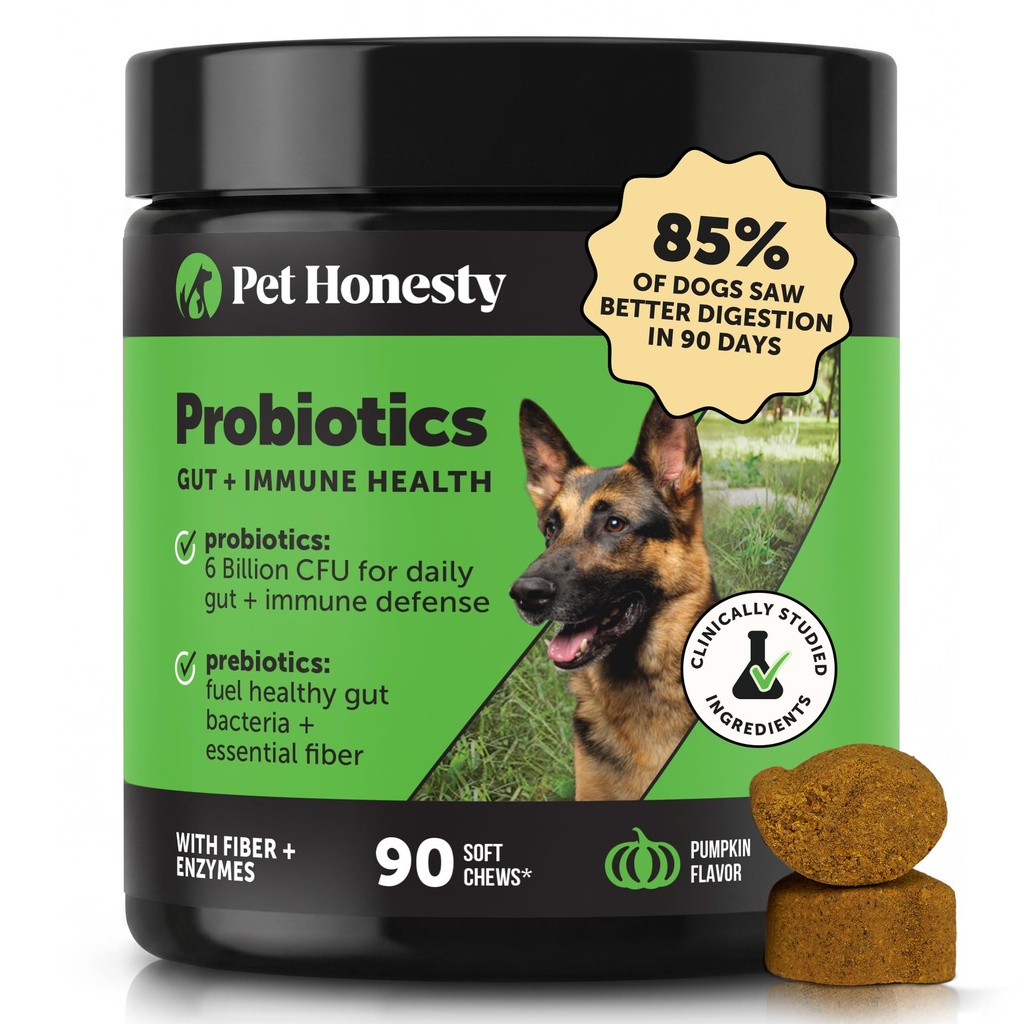 Pet Honesty Probiotics for Dogs for Occasional Diarrhea & Bowel Support, Verdauungsenzyme mit Präbiotika für Gutgesundheit für Hunde, Immunität Health & Itch Relief (Pumpkin 90 ct)